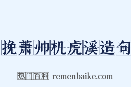 挽萧帅机虎溪造句是什么意思的图片